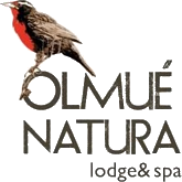 Olmué Natura Lodge & Spa
